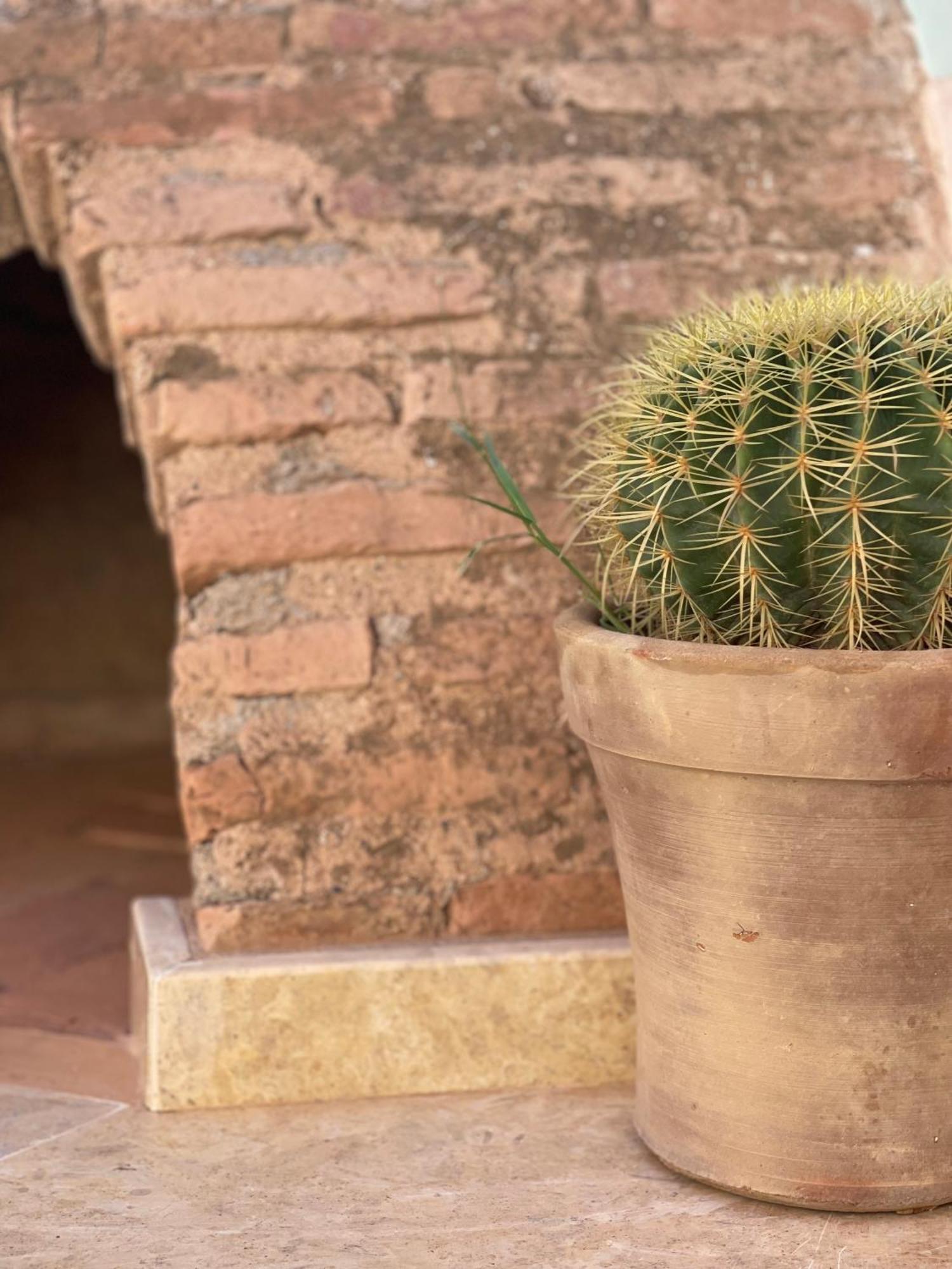 Riad Gasaembre Touareg Marrakesh Eksteriør bilde