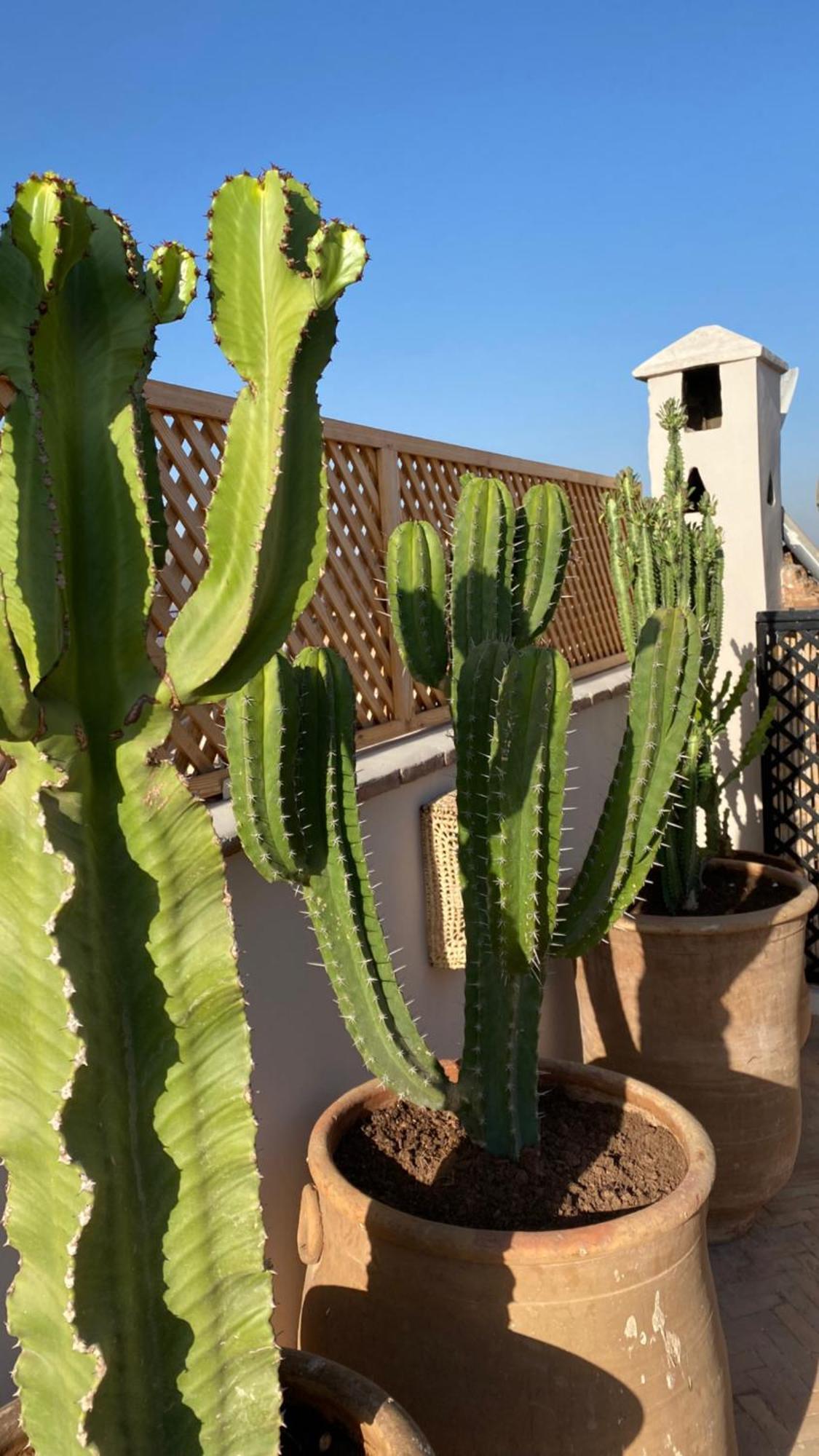 Riad Gasaembre Touareg Marrakesh Eksteriør bilde